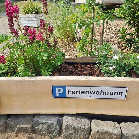 Ferienwohnung Im Winkel Hanstedt Zewnętrze zdjęcie